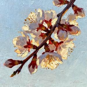 错季花开 (Cover 袁小葳 & 林亦)