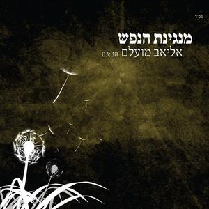 מנגינת הנפש