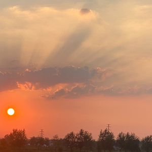 鱼塘里的无尽诱惑