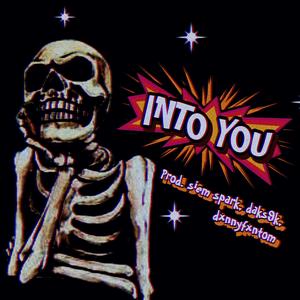 INTO YOU (feat. siem spark, daks9k & dxnnyfxntom)