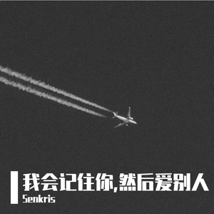 我会记住你,然后爱别人