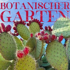 Botanischer Garten