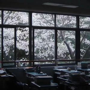 太阳（Prod.白昼星BZX）