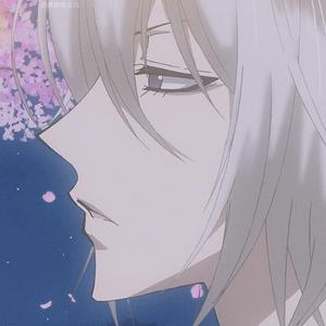 白鸽乌鸦相爱的戏码