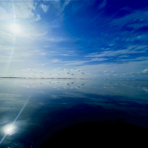 紫霞仙子留下的泪有多沉重