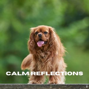 Serene Whisper (Loopable, No Fade)