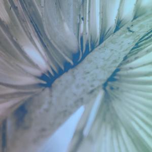 Chút Chuyện Cần Nói