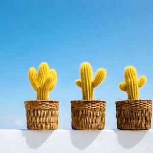 Cool Head, Warm Heart