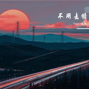 不用去猜