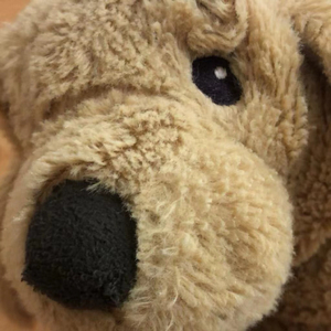 讨厌早起我爱熬夜（cover：CCaesar）