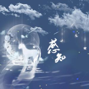 感知——最a女团