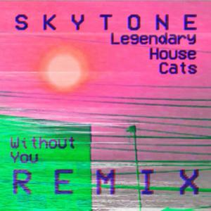 Without You (feat. Legendary House Cats) (Remix) (Remix)
