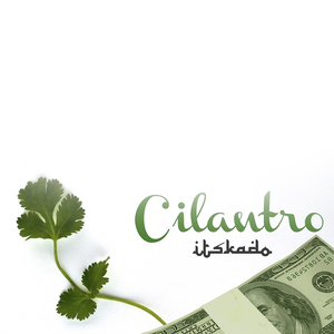 Cilantro