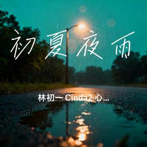 初夏夜雨