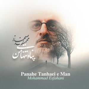 Panahe Tanhaei e Man