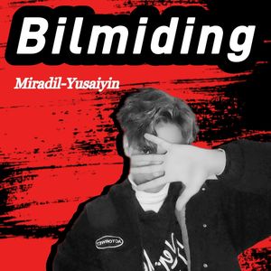 Bilmiding