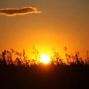 苦·短(Prod.by Yni)