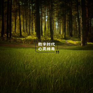 梵音海（心情舒缓）