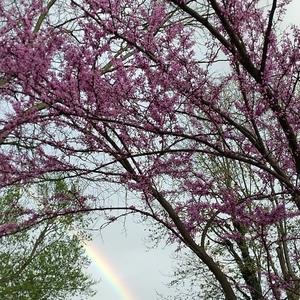 is it fair to kill a man if he aquires the amount of coins equal to his price?