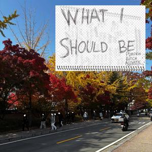 What I Should Be (Pumpkin Bitch Acoustic)