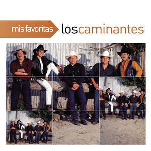 Tu Nuevo Cariñito (Album Version)