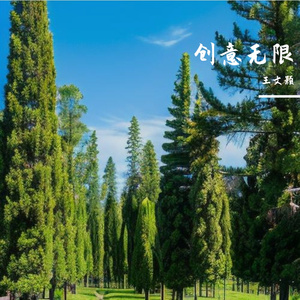 思念的双向问询