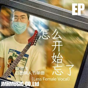 怎么开始忘了（Less Female Vocal）