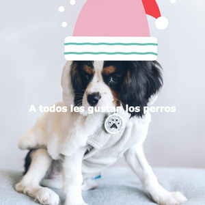 Pleasant (Staying In)