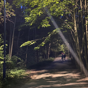 命运礼物的标价