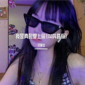 我是真的爱上你（DJ抖音版）