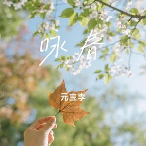 咏春 (Remix)
