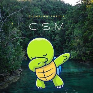 Turtle Time