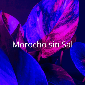 Morocho sin sal