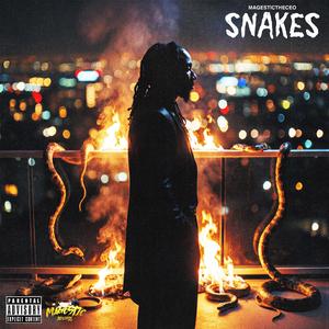 Snakes