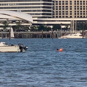 落差 Fall Head （prod.Young Harry）