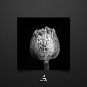 Golim (Original Mix)