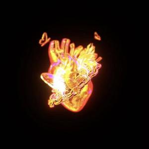 Feel Your Heart