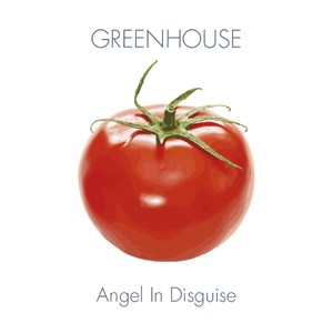 Angel In Disguise (Radio Edit)