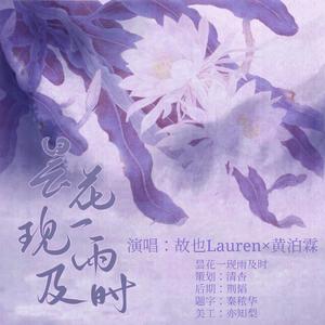 昙花一现雨及时