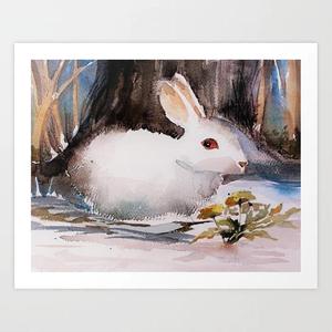 Snow Bunny