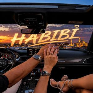 HABIBI