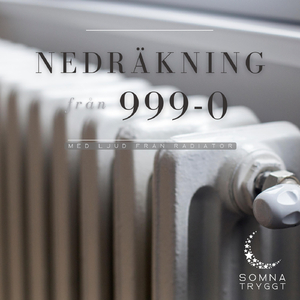 855-807 (Radiatorljud)