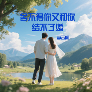舍不得你又和你结不了婚