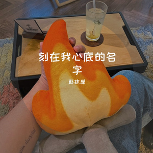 刻在我心底的名字