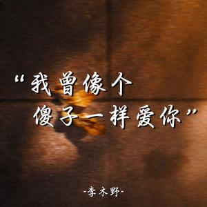 我曾像个傻子一样爱你