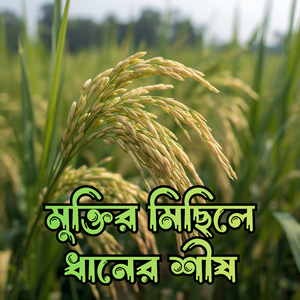 গর্জো এবার ধানের শীষে