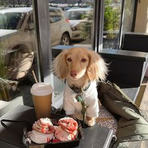 STARGAZING (sped up)