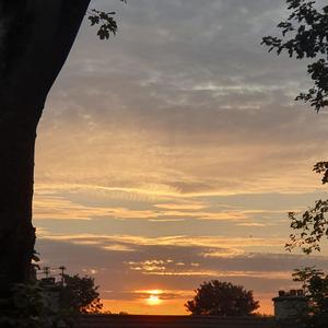 Phazed (feat. Steelyvibe)