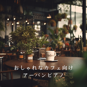 Casual Couture Soundscape