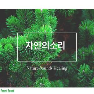 숙면과 안정을 위한 비 내리는 바다 파도 소리